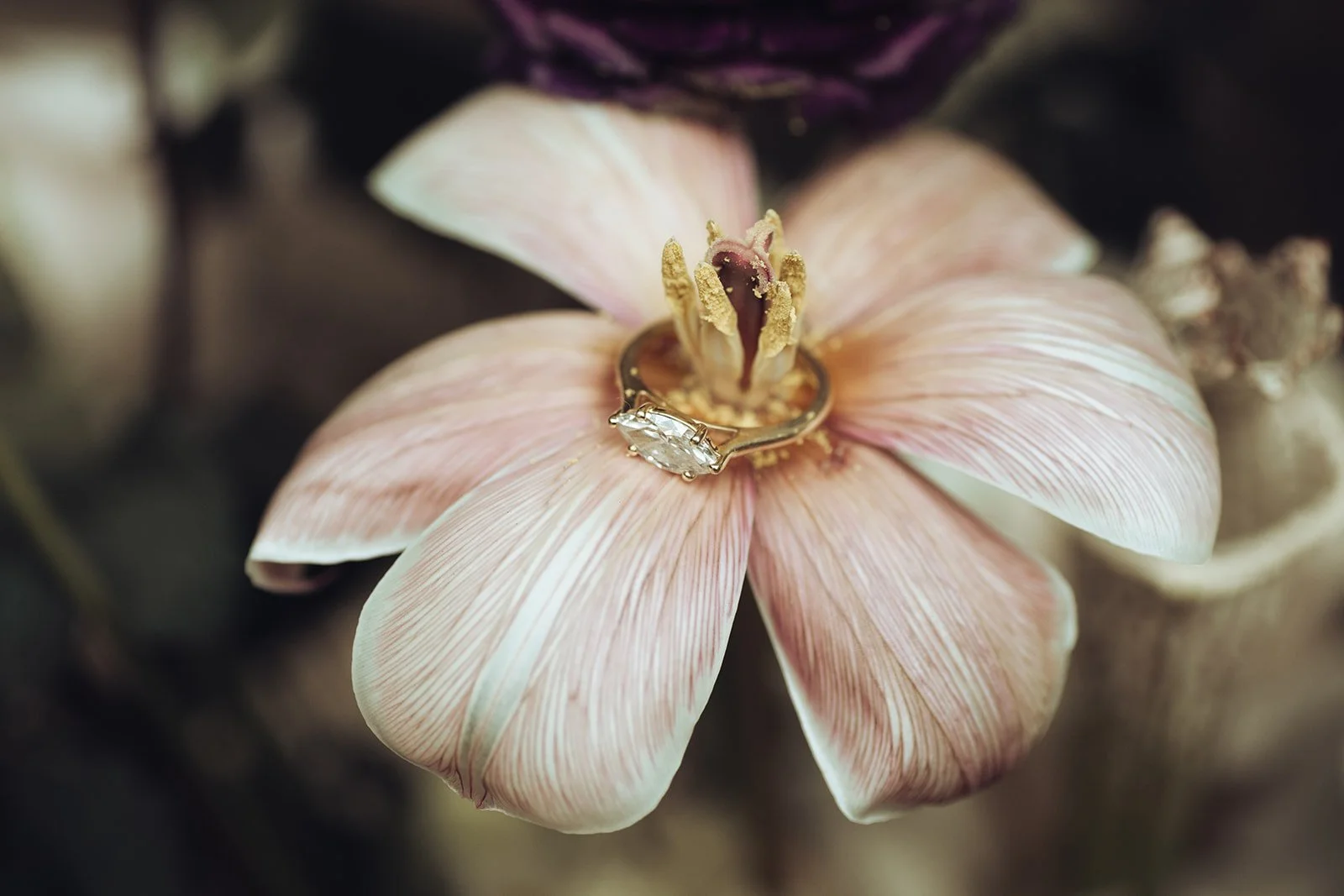  Creative wedding detail photography featuring engagement ring artistically placed on orchid flower by Brooklyn wedding photographer 